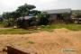 A VENDRE Field / ground Mont-Ngafula Kinshasa  picture 3