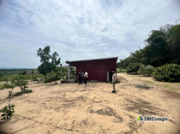 Terrain - Quartier Kimpoko