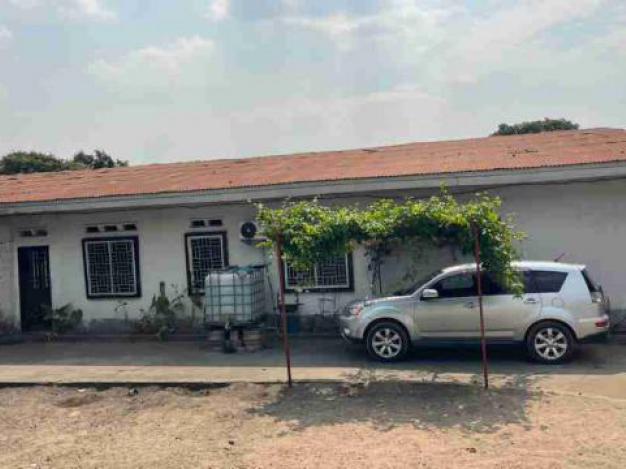 Plot - Neighborhood Pigeon