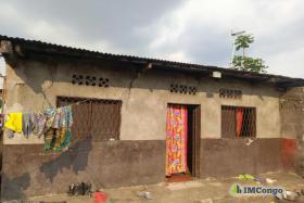 Imcongo - For Sale