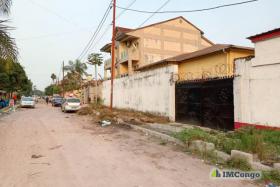 Imcongo - For Sale