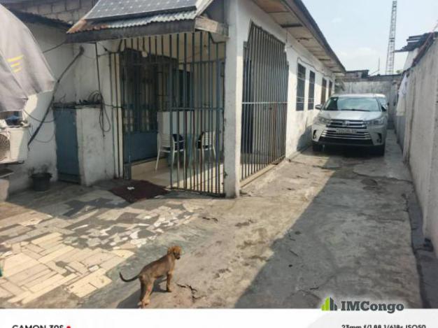 Parcelle - Kasa-vubu