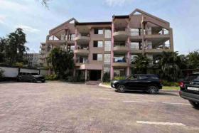 Imcongo - Yaku panga