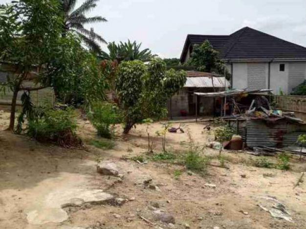 Ndaku - Quartier pigeon