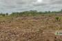 A VENDRE Terrain / parcelle Communes Lubumbashi  picture 8