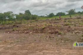 Imcongo - Yaku uzisha