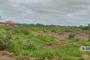 A VENDRE Terrain / parcelle Communes Lubumbashi  picture 12