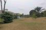 A VENDRE Field / ground Ngaliema Kinshasa  picture 2