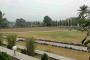 A VENDRE Field / ground Ngaliema Kinshasa  picture 4