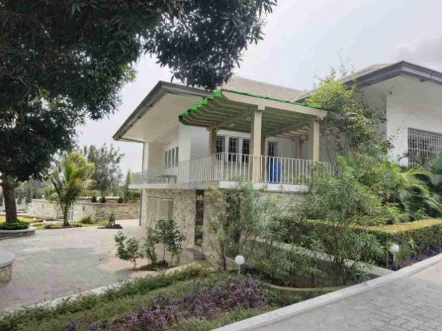 Plot - Neighborhood Pigeon