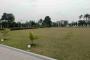 A VENDRE Field / ground Ngaliema Kinshasa  picture 6