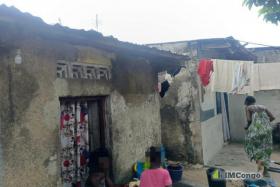 Imcongo - 