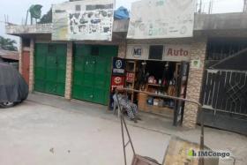 Imcongo - 