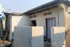 Imcongo - 