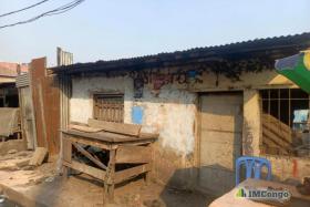 Imcongo - 