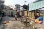 A VENDRE Field / ground Barumbu Kinshasa  picture 7