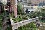 A VENDRE Terrain / parcelle Limete Kinshasa  picture 6
