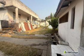 Imcongo - A vendre