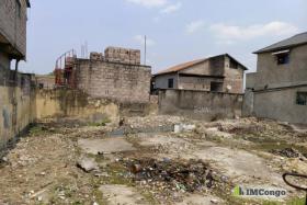 Imcongo - A vendre