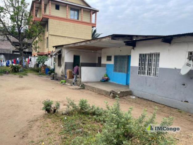 Terrain - Ngaliema (Okapi)