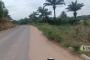 A VENDRE Terrain / parcelle Kimbanseke Kinshasa  picture 5
