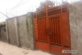 Imcongo - A vendre