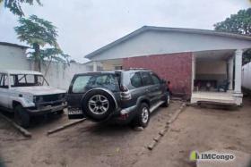 Imcongo - A vendre