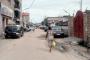 A VENDRE Terrain / parcelle Kalamu Kinshasa  picture 2