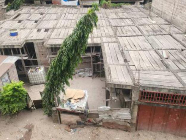 Plot - Neighborhood mollart