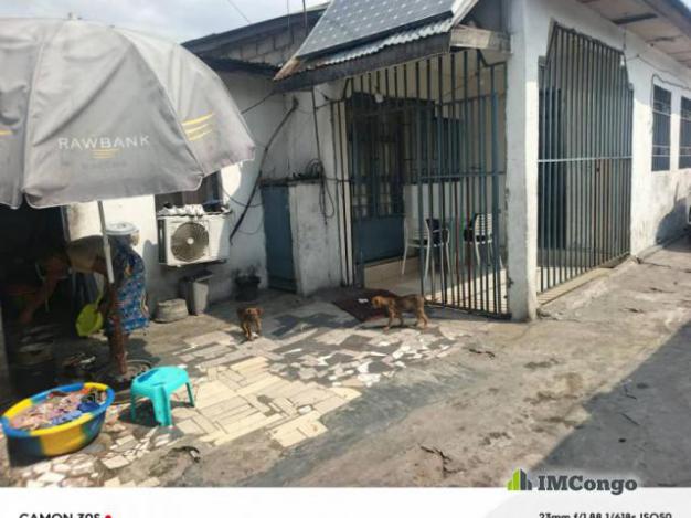 Parcelle - Kasa-vubu