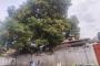 A VENDRE Terrain / parcelle Limete Kinshasa  picture 7