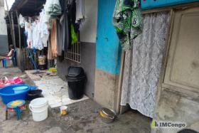 Imcongo - 