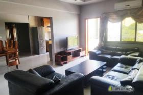 For rent Furnished Apartment - Downtown kinshasa Gombe