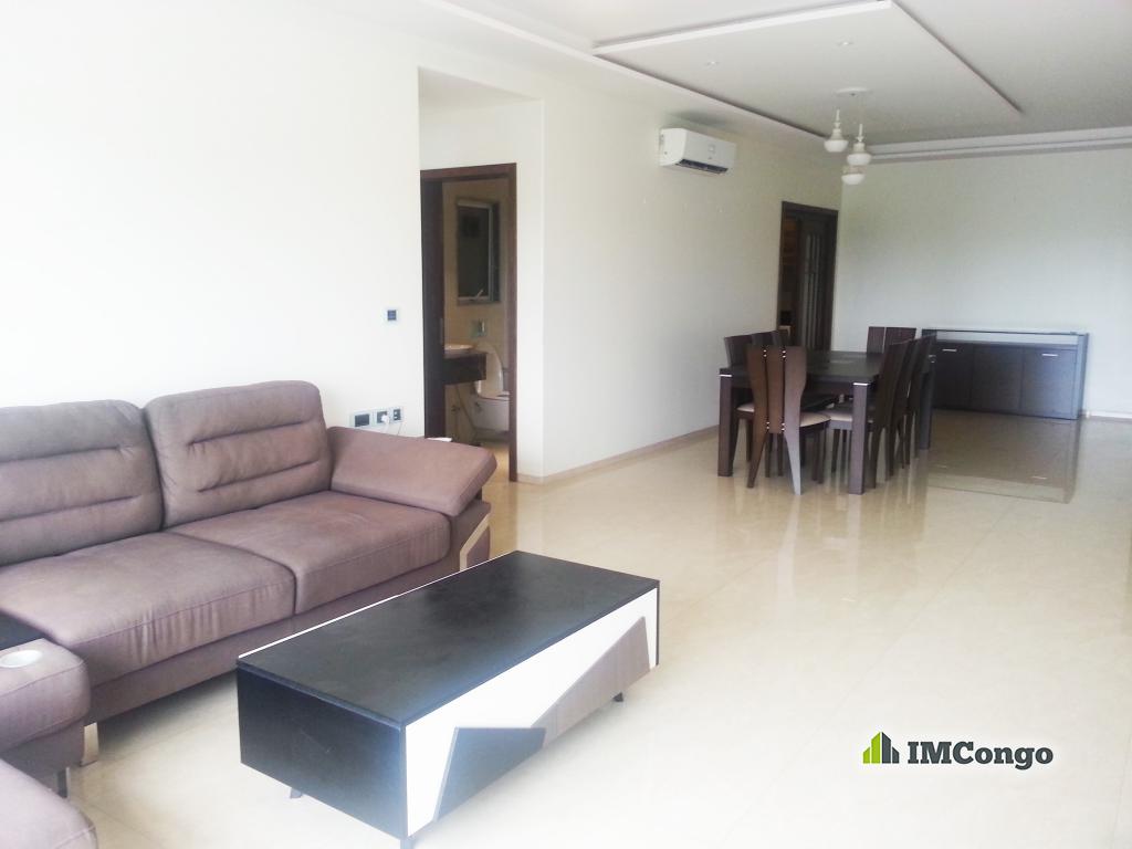 For rent Luxury furnished apartment - Ngaliema  Kinshasa Ngaliema