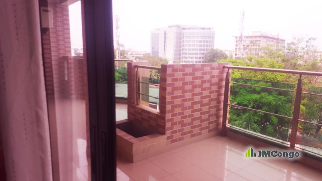 For rent Furnished apartment - Downtown Kinshasa Gombe