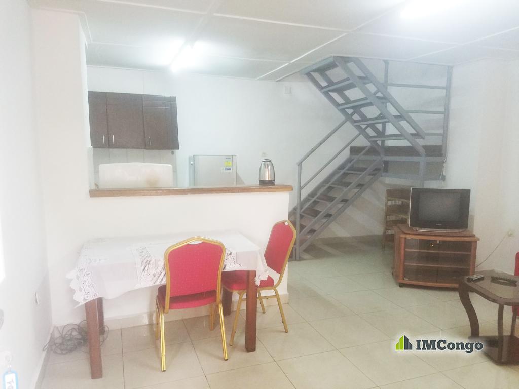 For rent Furnished apartment duplex - Downtown Kinshasa Gombe