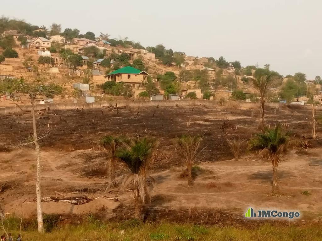 Yaku uzisha Morcellement des terrains  Kinshasa Mont-Ngafula