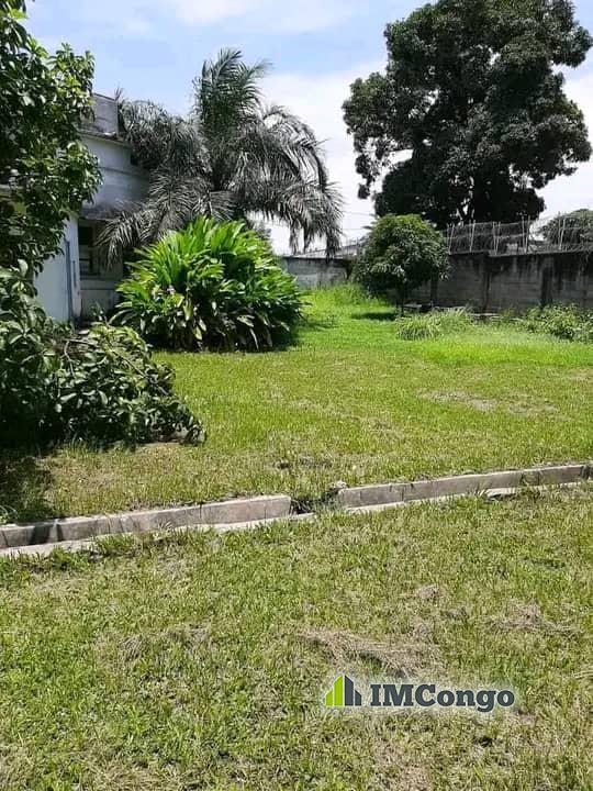 For Sale Ground - Downtown Kinshasa Gombe