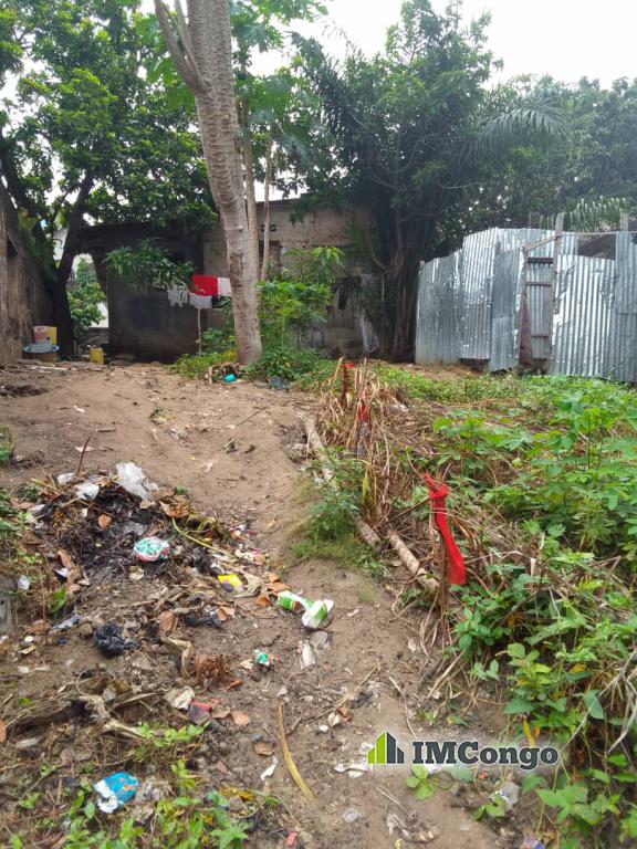 For Sale Plot - Neighborhood Joli Parc Kinshasa Ngaliema