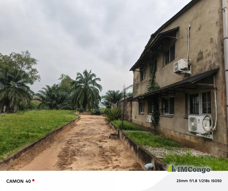 For Sale Plot - Maluku Kinshasa Maluku