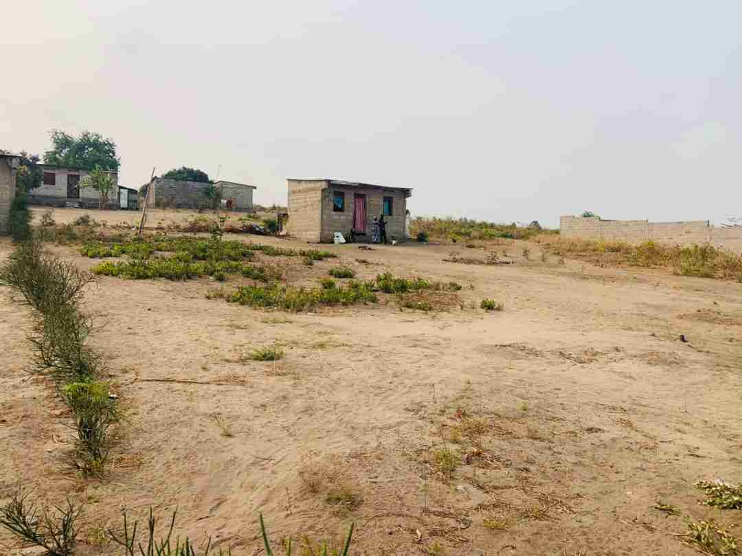 A vendre Terrain - Quartier Kinkole Kinshasa Nsele