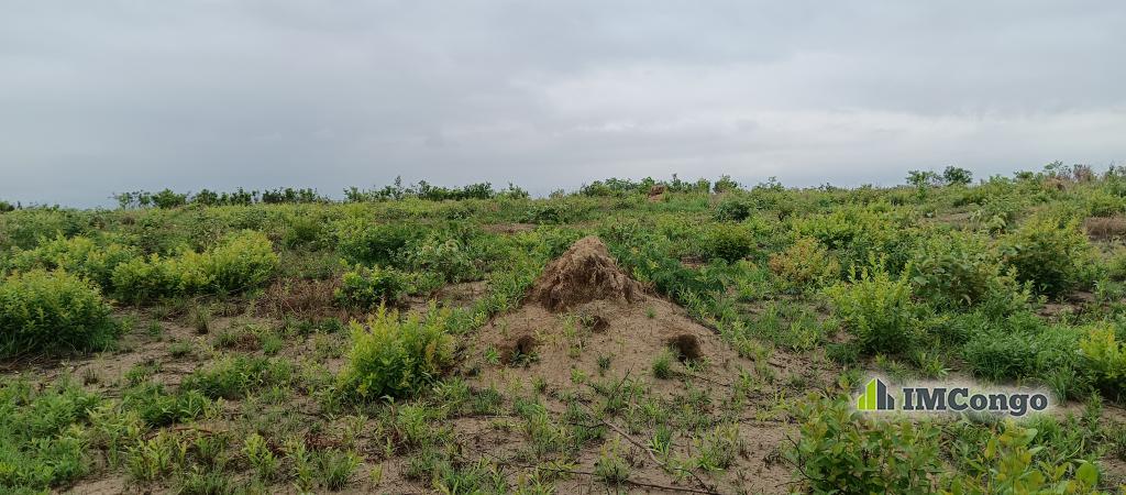 A vendre Terrain - Quartier N'djili brasserie Kinshasa Kimbanseke