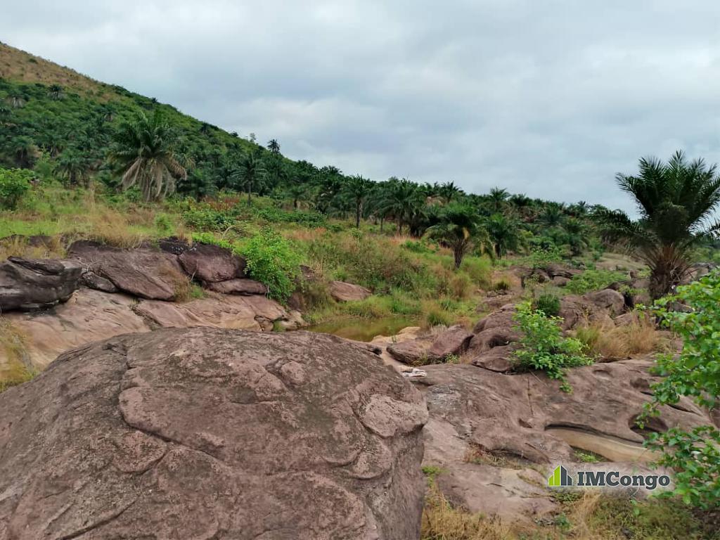 A vendre Concession - Selembao Kinshasa Selembao