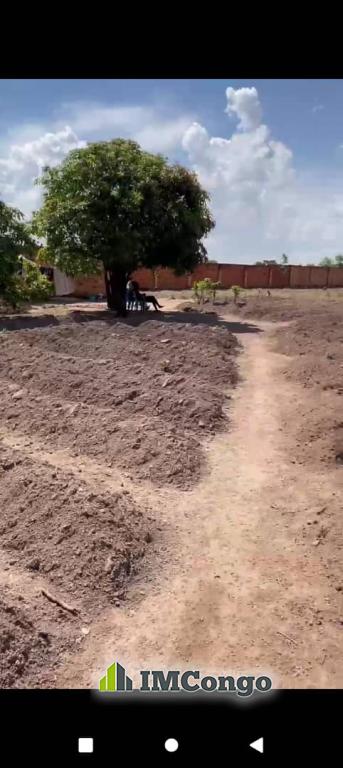 A vendre Parcelle Route Kasenga Lubumbashi Communes