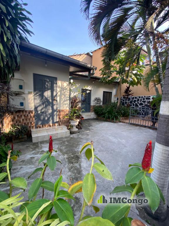 A vendre Parcelle - Quartier ma campagne Kinshasa Ngaliema