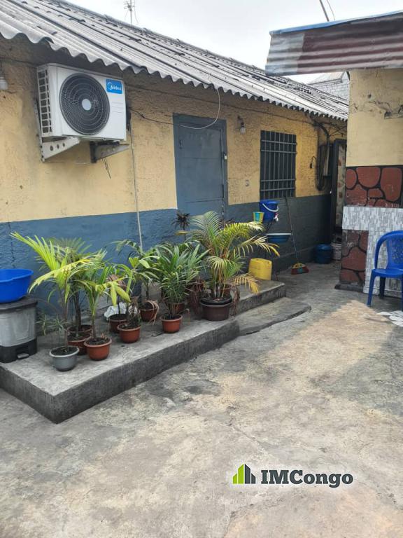 Ya koteka Ndaku - Quartier Kauka Kinshasa Kalamu