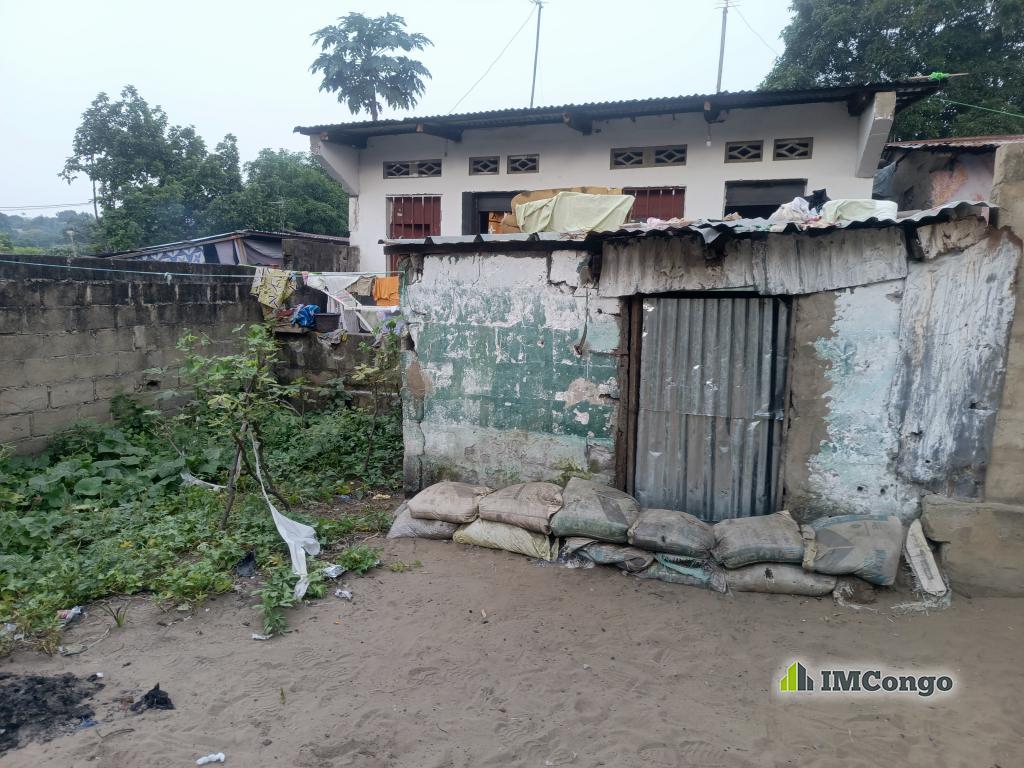 A vendre Terrain - Nsele (réf. Terre jaune) Kinshasa Nsele