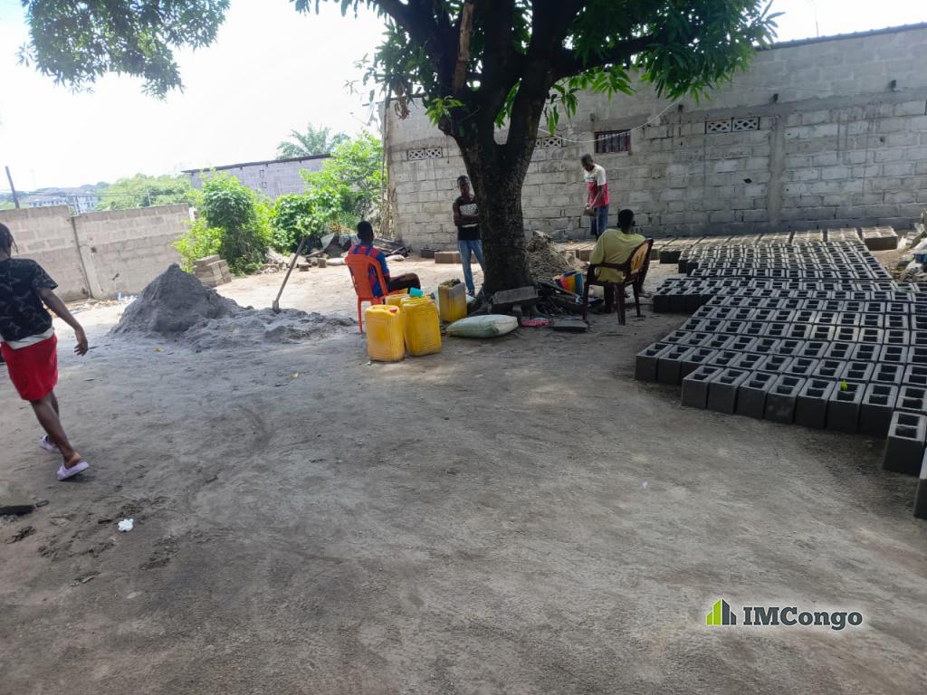 A vendre Terrain - Nsele  Kinshasa Nsele