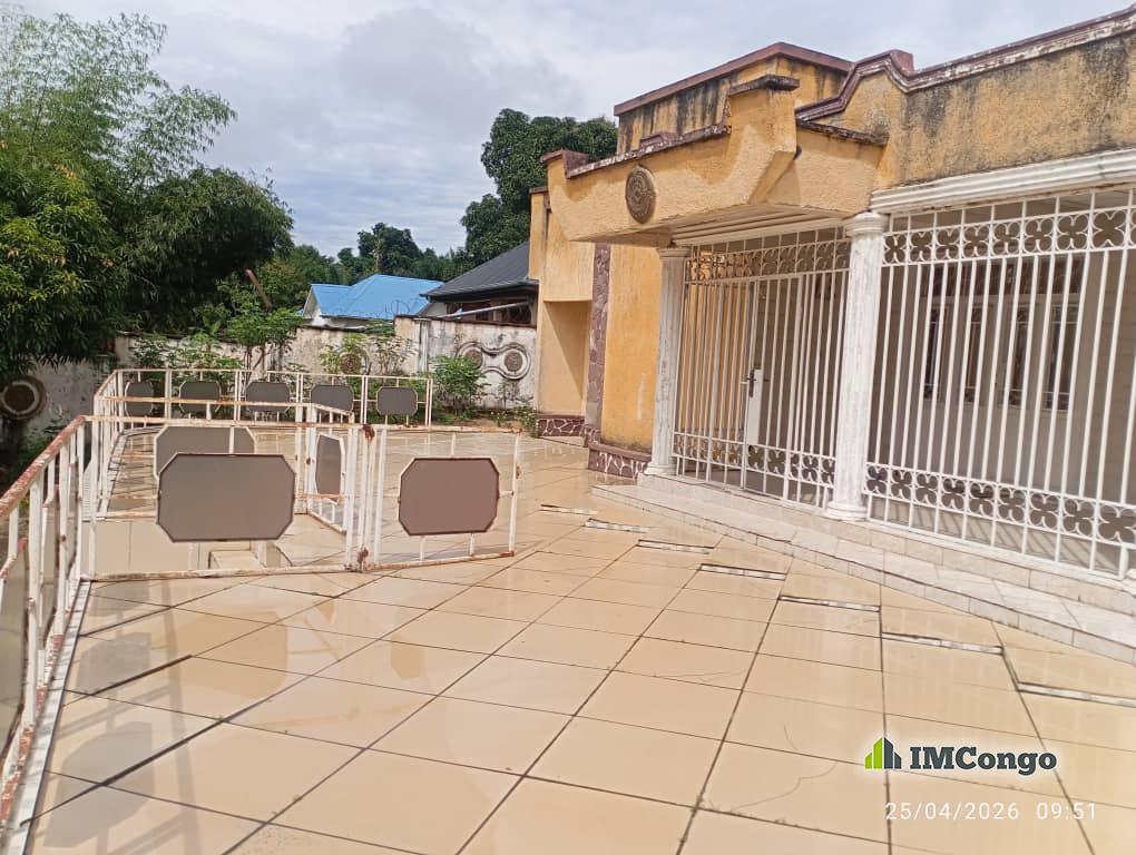 A vendre Parcelle - Quartier cogelos (derrière plateau de professeur) Kinshasa Mont-Ngafula