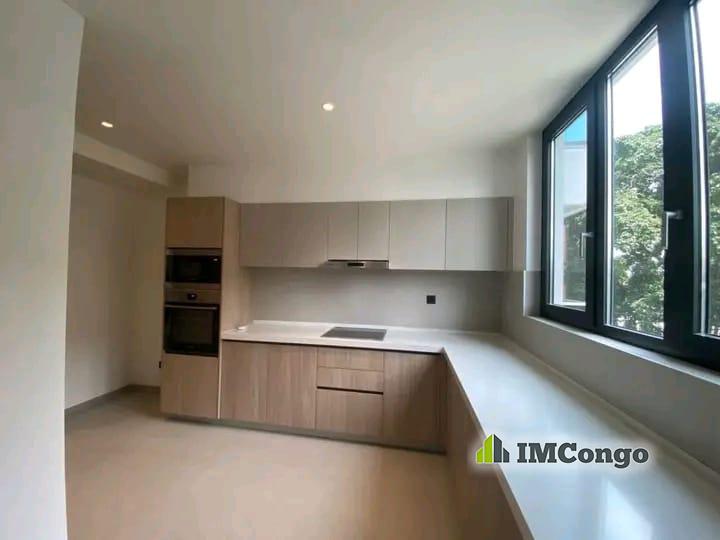 A vendre Appartement - Centre-Ville  Kinshasa Gombe